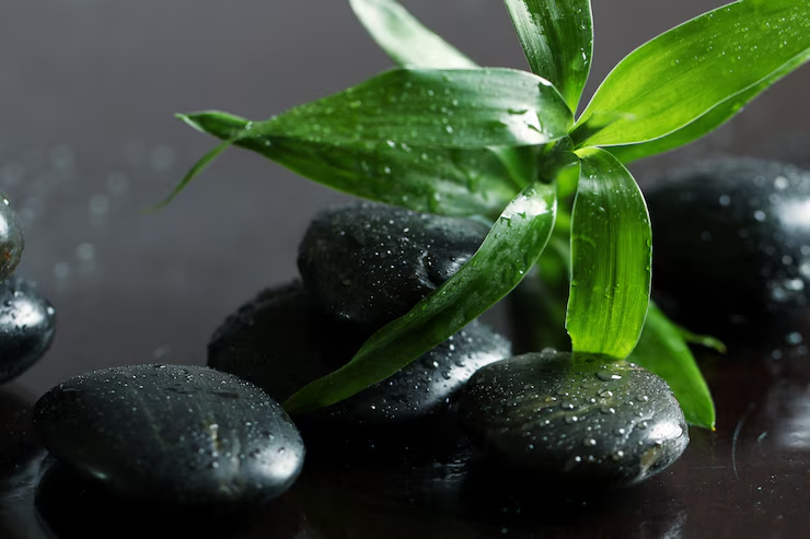 Green bamboo leaves with black spa stones covered in water droplets